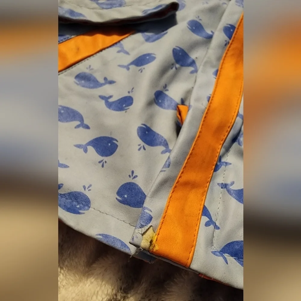 Whale Raincoat